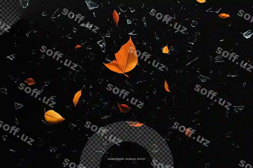 Shisha singan barg izolyatsiyalangan qora fon shaffof | Broken glass falling leaf isolated black background transparent