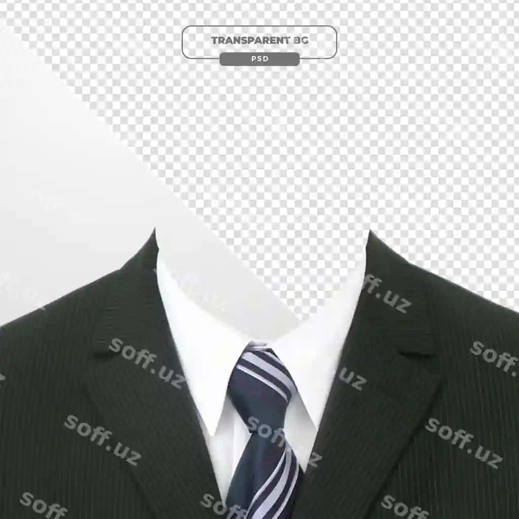Formal kostyum o'rtasi bilan biznes professional | Formal suit with tie business professional