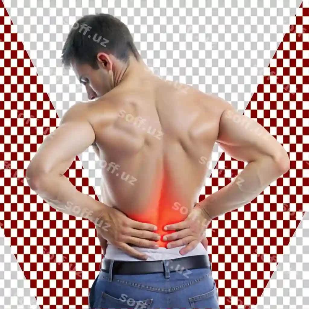 Yosh erkakning bel aylanishi shaffof fonda | Young man lower back pain transparent background