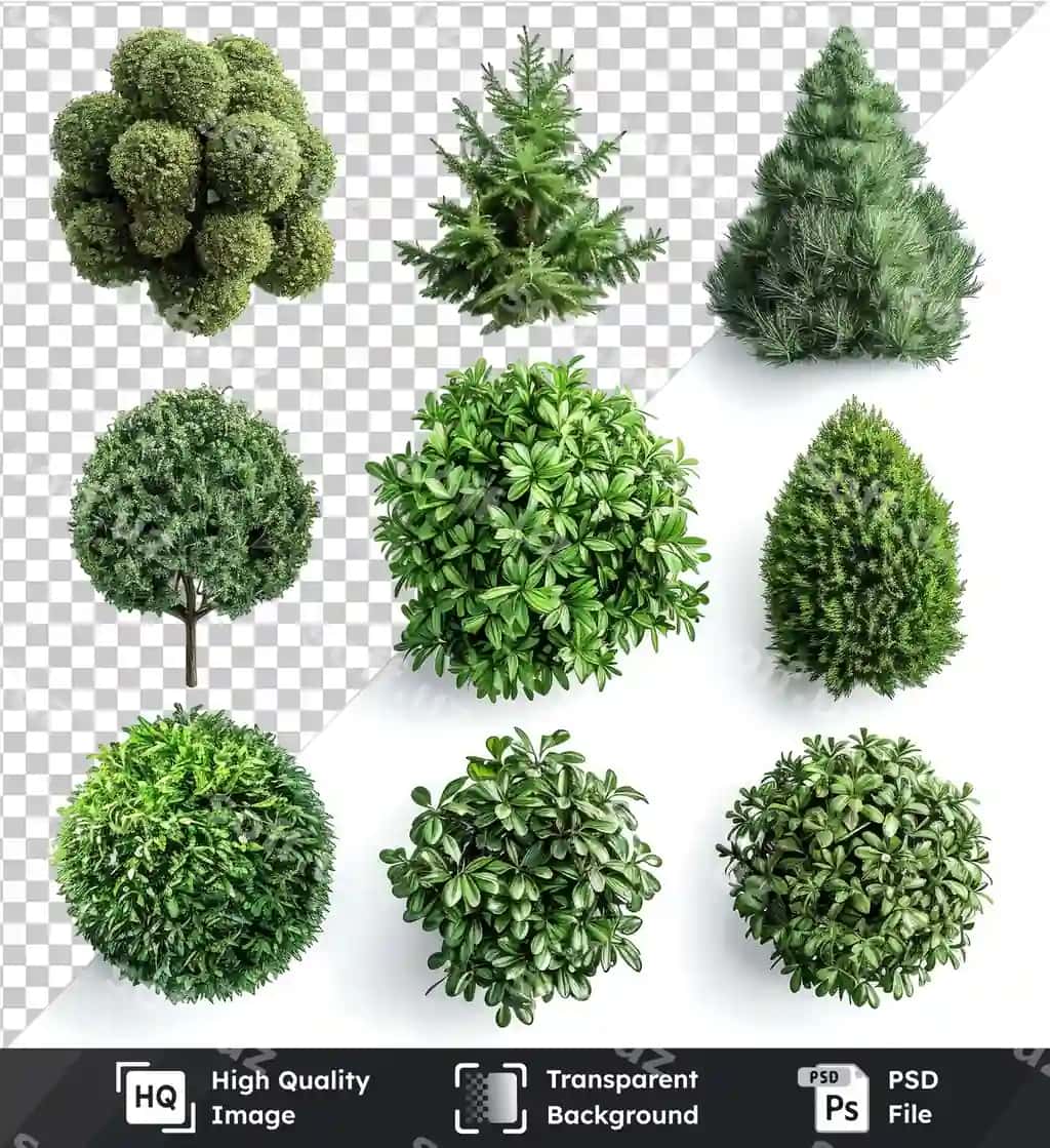 Turli xil yashil topiar o'simliklar to'plami izolyatsiya qilingan shaffof fon | Variety green topiary plants collection isolated transparent background