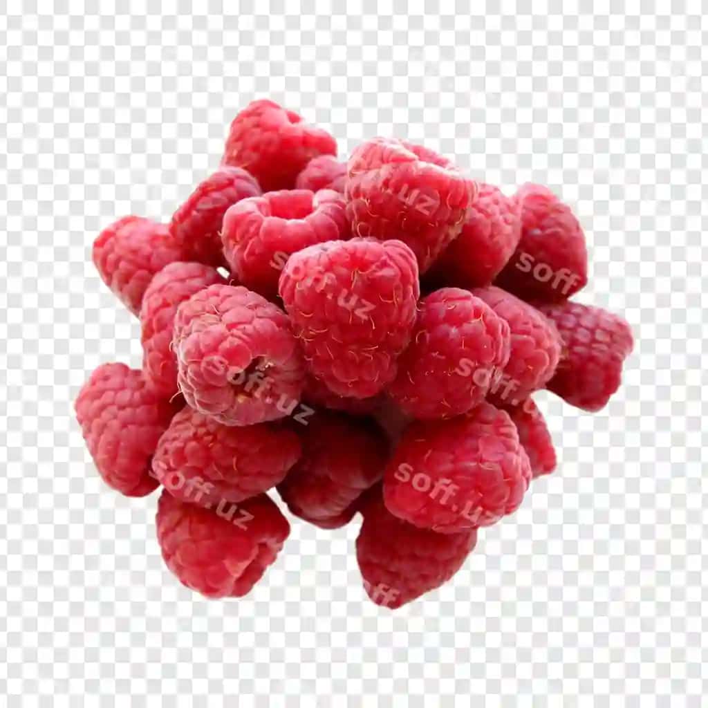 O'tgan murdumlar | Ripe raspberries