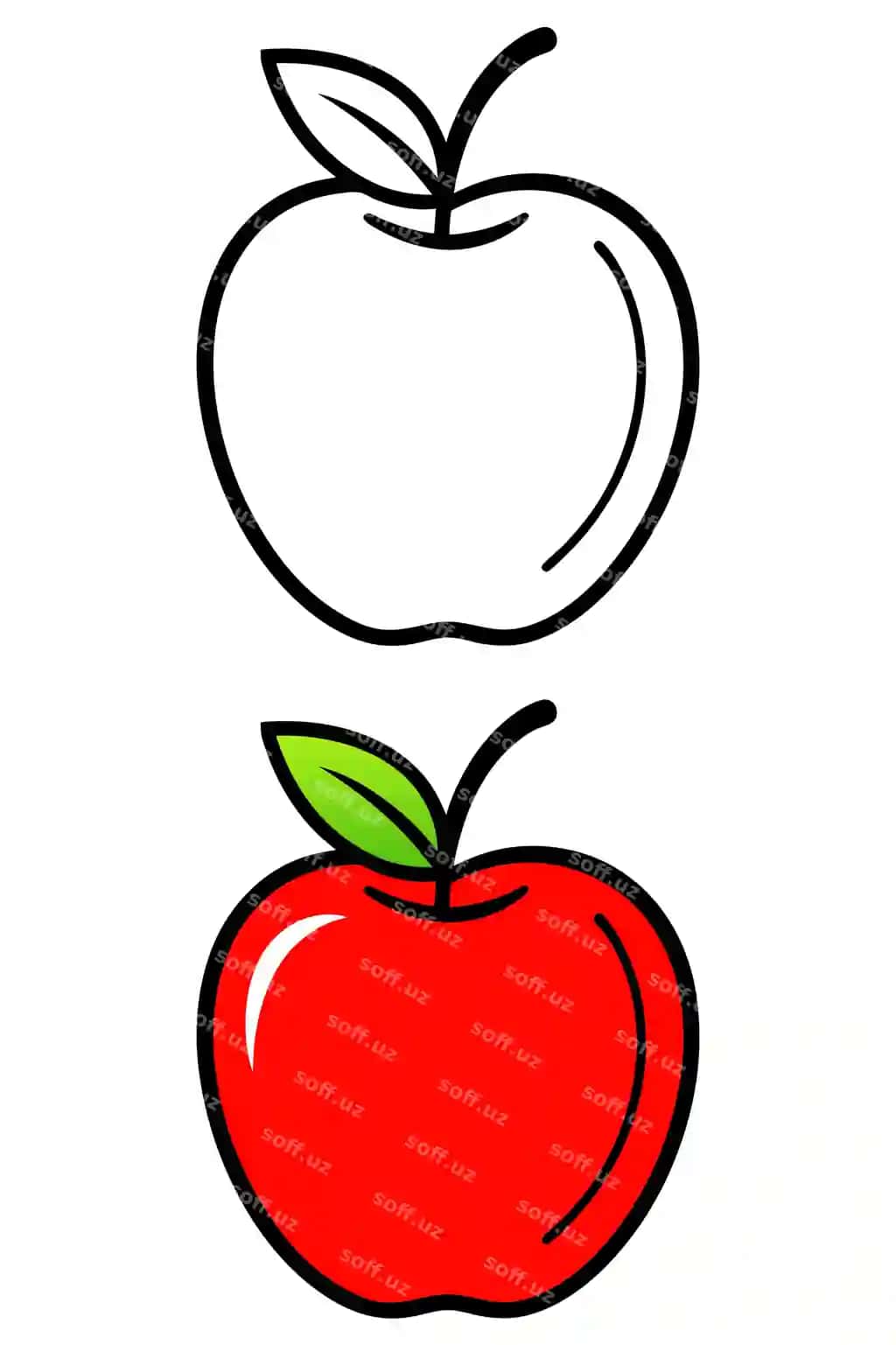 Oq fon bilan qizil olma rang berish sahifasi | Coloring page red apple with white background