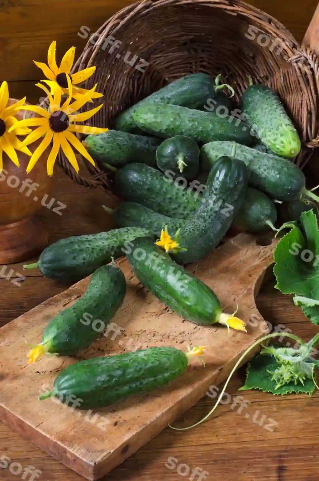 Bağirlar savati sariq gullar yog'och stol qishloq uslubi | Cucumbers basket yellow flowers wooden table rustic style