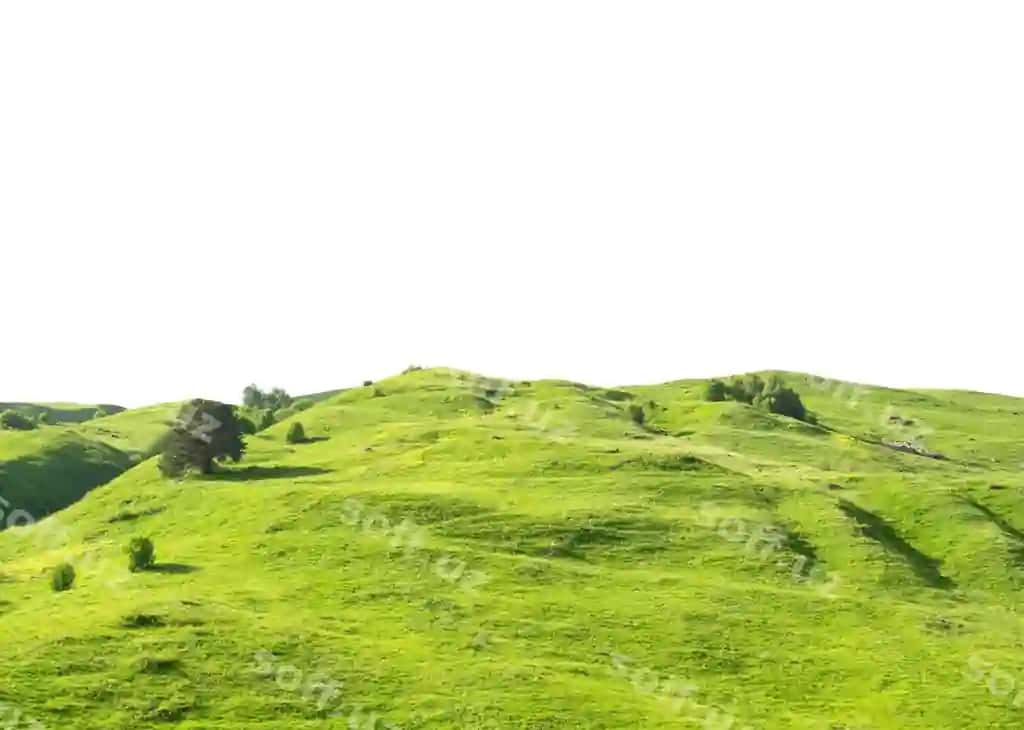 Yashil maysazor tepaligi bilan izolyatsiya qilingan oq fonli panoramik landshaft | Panoramic landscape with green grass hill isolated white background