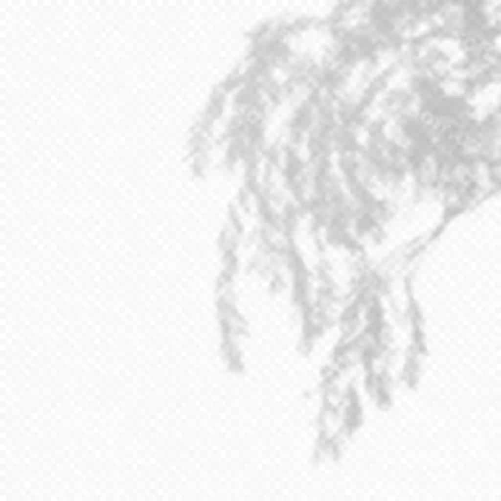 Realistik vektor shaffof qatlam bulanik sochki dara yapraqlari | Realistic vector transparent overlay blured shadow branch leaves