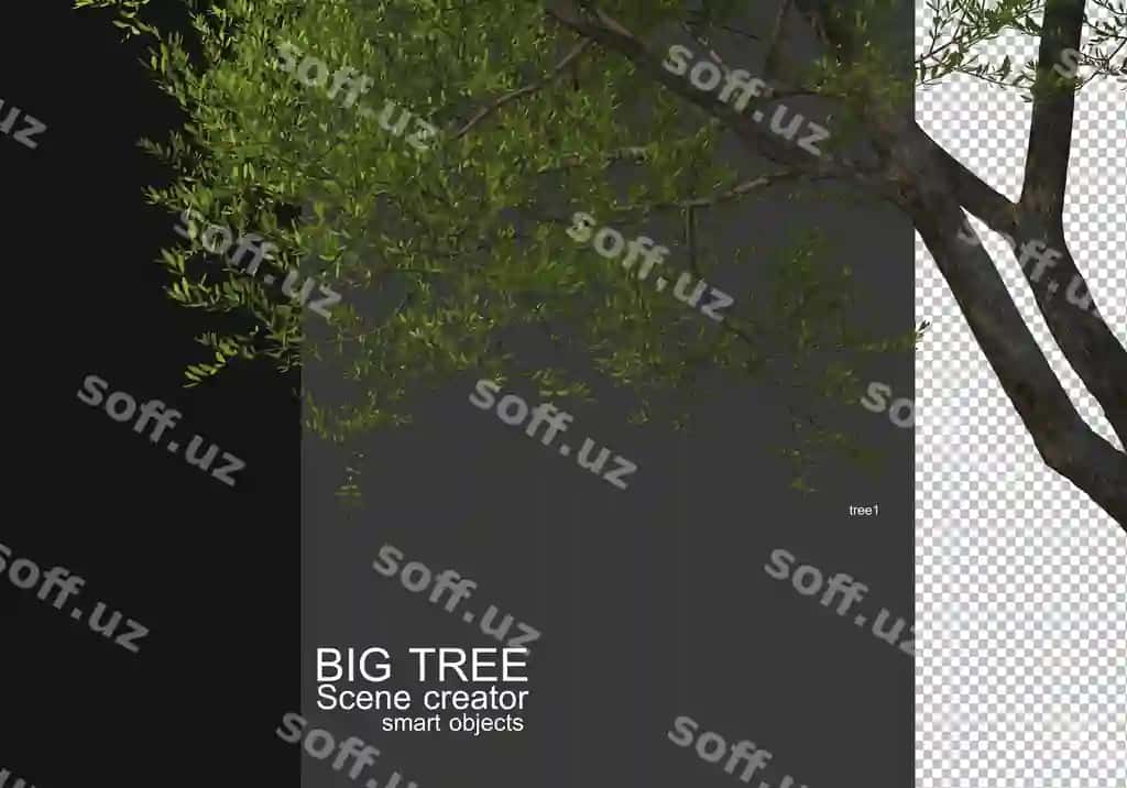 Ko'rsatish katta daraxt oldi fonda rendering | Display large tree foreground rendering
