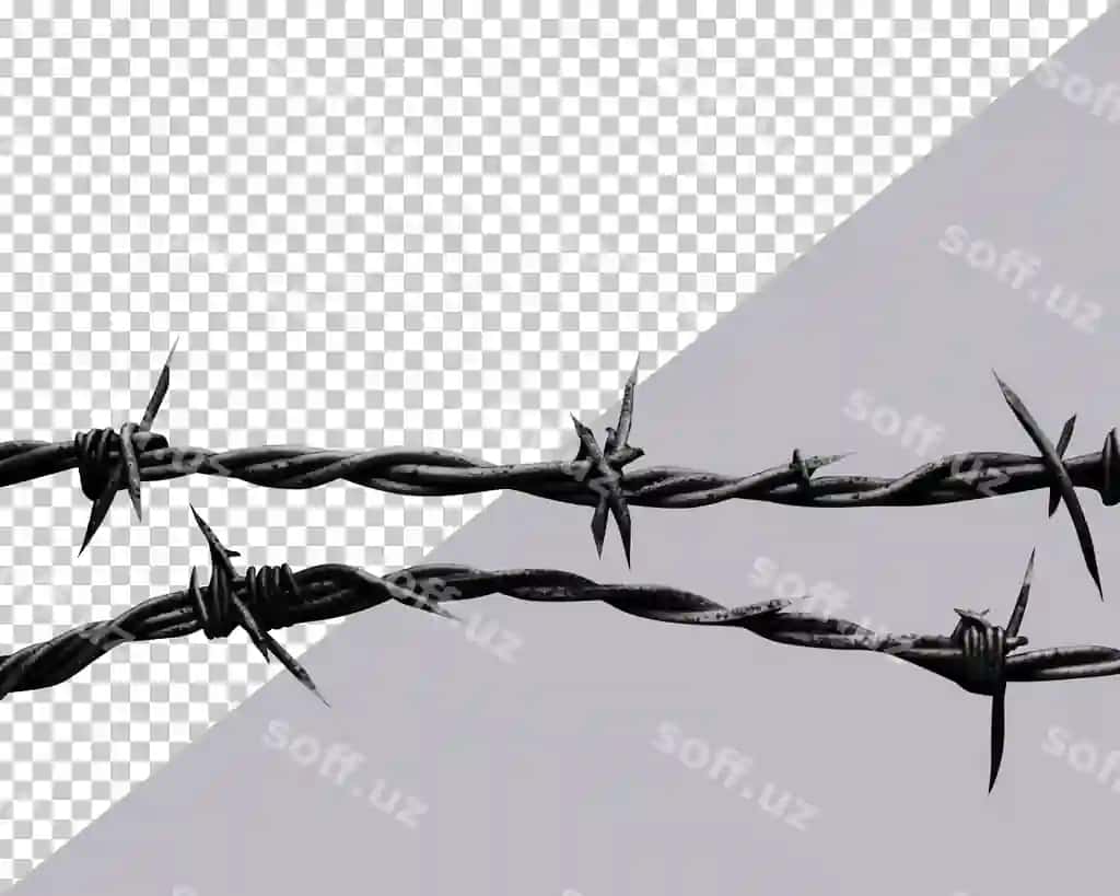 Tikanli simli shaffof fon | Barbed wire transparent background