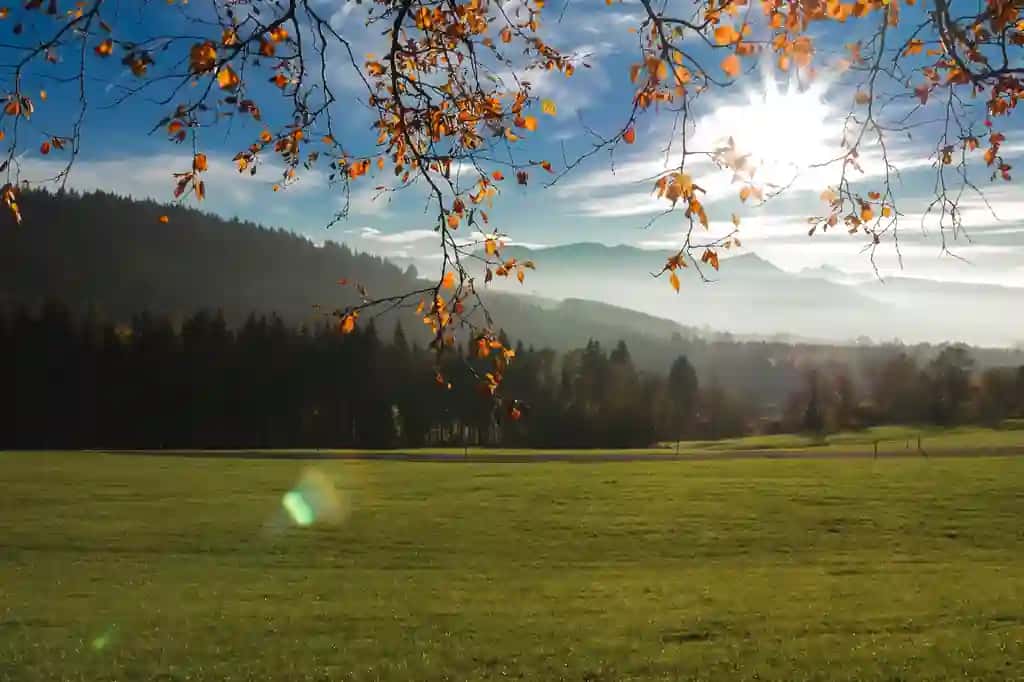 Quyoshli kun fonida osmonning manzarali manzarasi | Scenic view landscape against sky sunny day