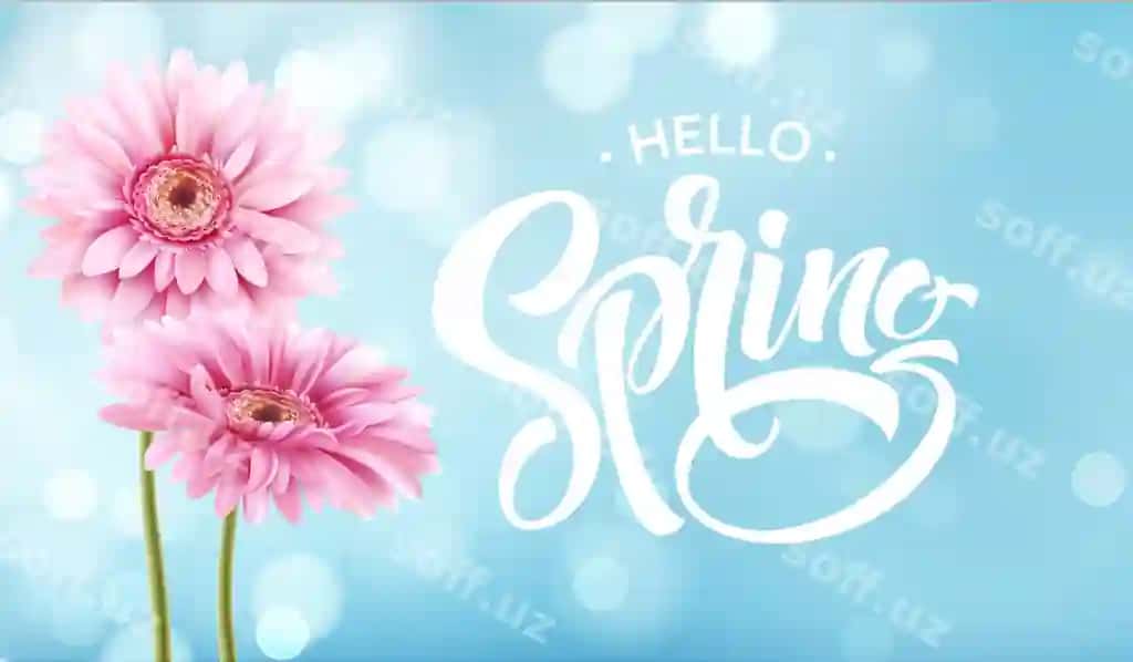 Gerbera guli bahor harflar dizayni | Gerbera flower spring lettering 2