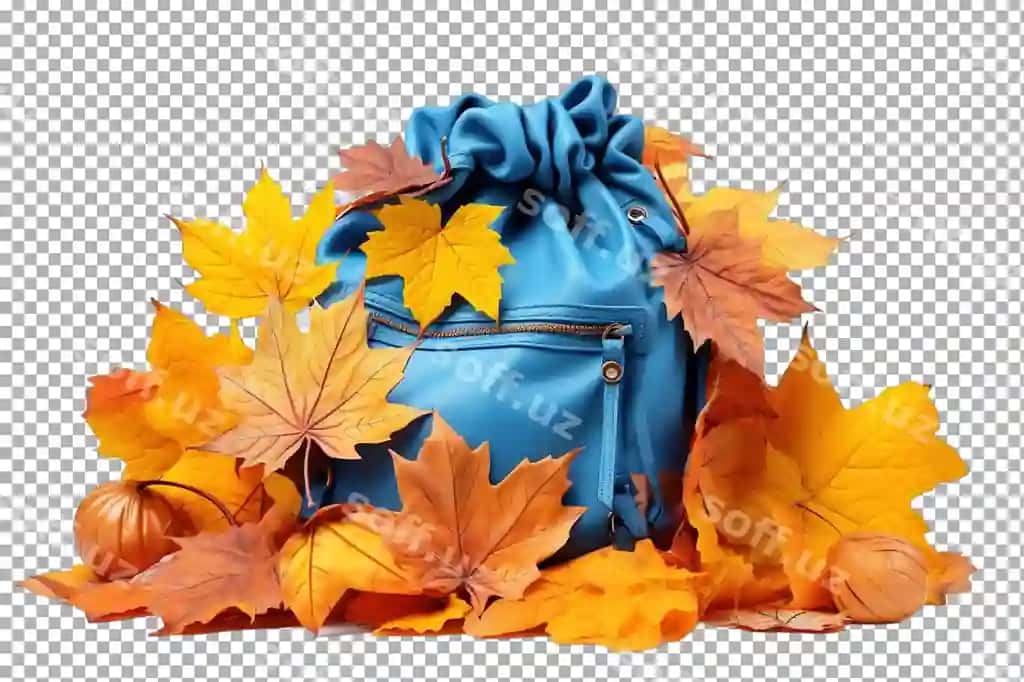 Ko'k rangli xalta dekorativ qovoq barglari bilan o'ralgan | Blue backpack surrounded by colorful leaves decorative pumpkins