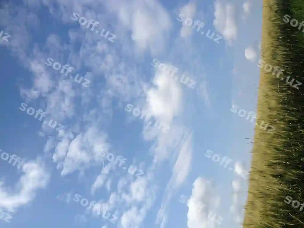 Osmonga qarshi manzarali maydon | Scenic view field against sky