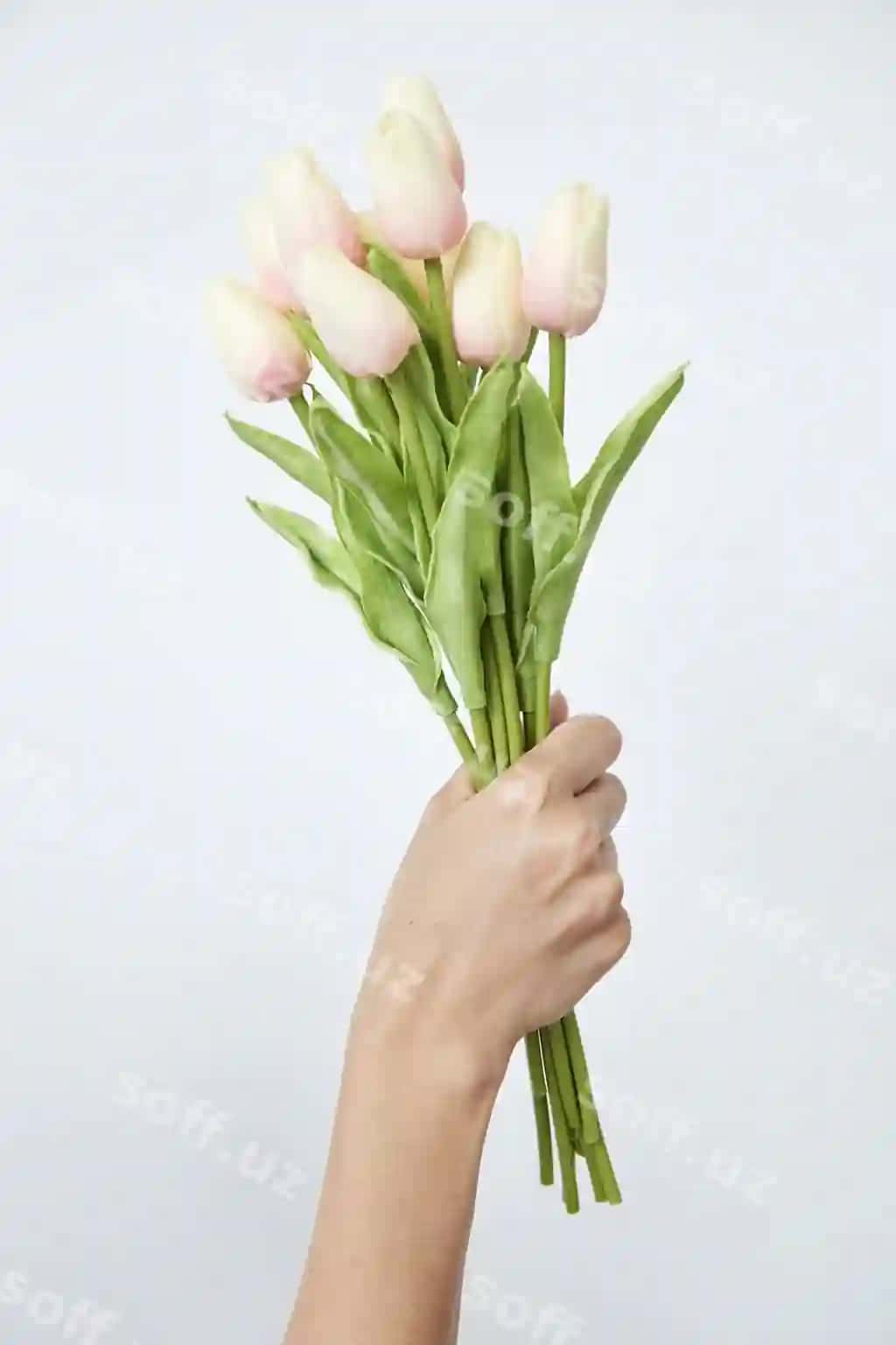 Yaqin rasmda qo'l gul to'plamini tutgan, oq fonda. | Close up hand holding bouquet against white background