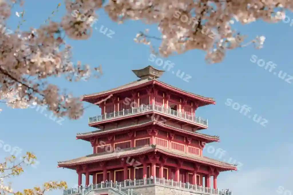 Qadimiy me'morchilik gilos bog' Zhenzhou shahri, Henan shtiti, Xitoy | Ancient architecture cherry garden zhengzhou cityhenan provincechina