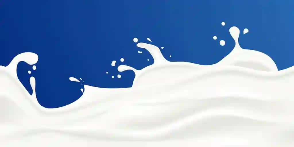 Ko'k fonda sut chayqalishi vektor tasviri | Milk splash vector illustration blue background