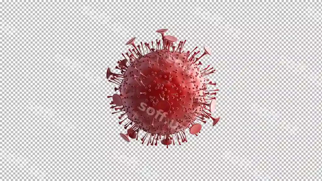 3d render koronavirus ajraltirilgan orqa fonda | 3d render corona virus isolated background