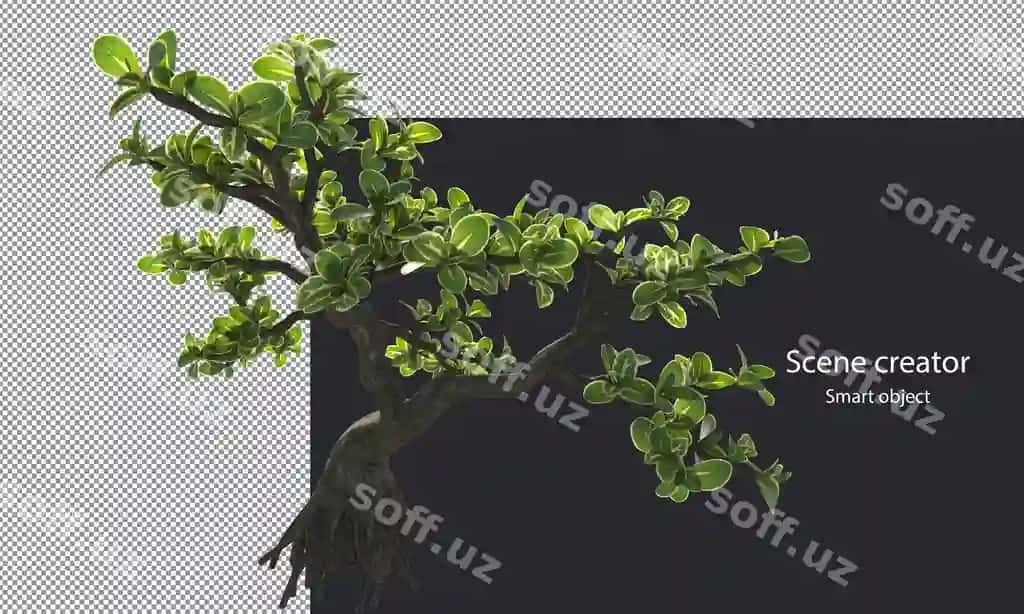 Snowrose daraxtlar tur kichik o'simliklar ajralangan kichik o'simliklar kesim | Snowrose trees variety small plants isolated small plants clipping
