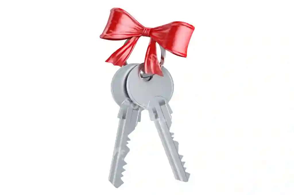 Ikki kalit qizil rim bilan 3d render | Two keys with red bow 3d rendering
