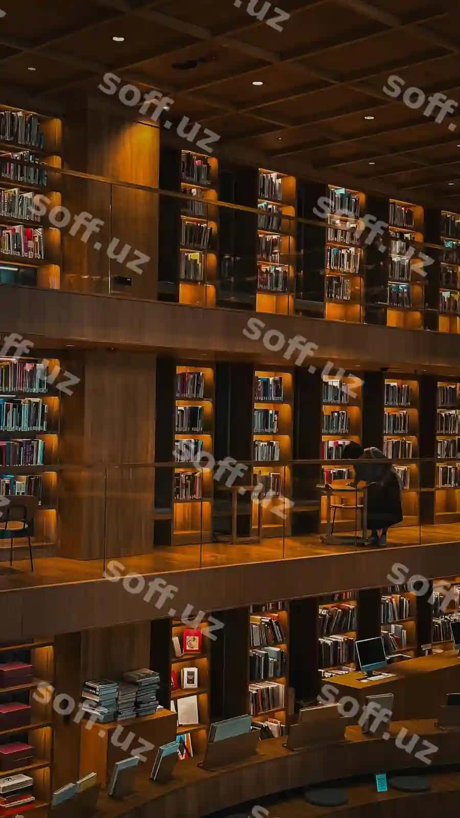 Kutubxona kitoblar va kitob javonlari bilan to'ldirilgan | Library is filled with books books shelves