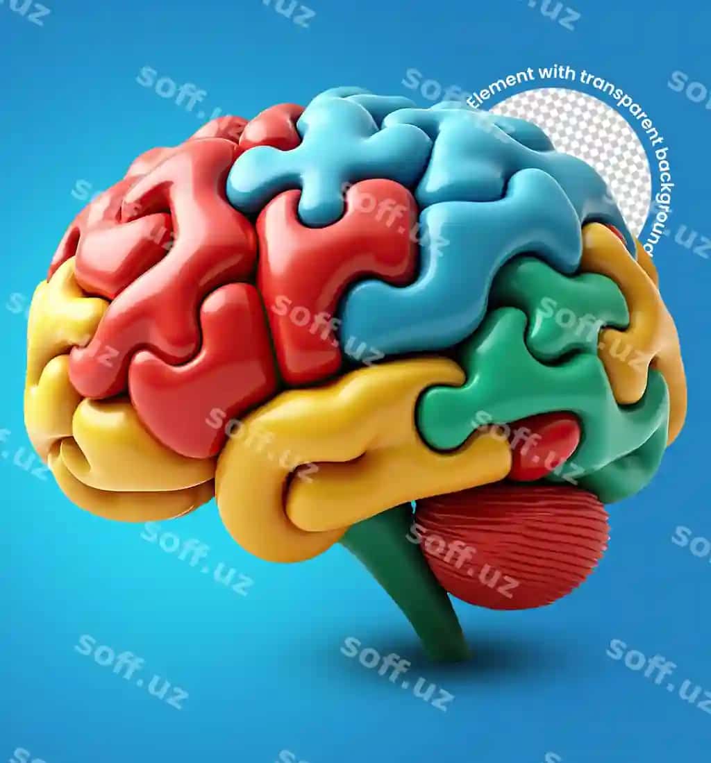 Rangli miya jumboq ijodiy yechimi | Colorful brain puzzle creative solution