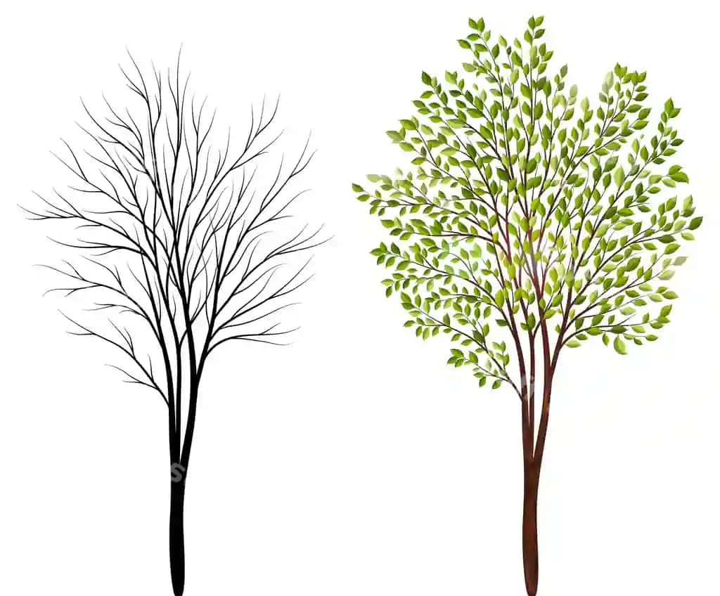 Daraxtlar oq fon vektori | Trees white background vector