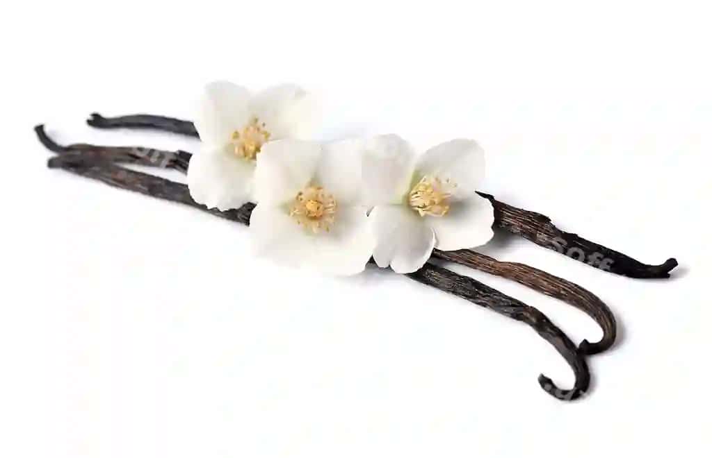 Vanil paloçkalari gullarning oq qismlari bilan | Vanilla sticks with flowers whites