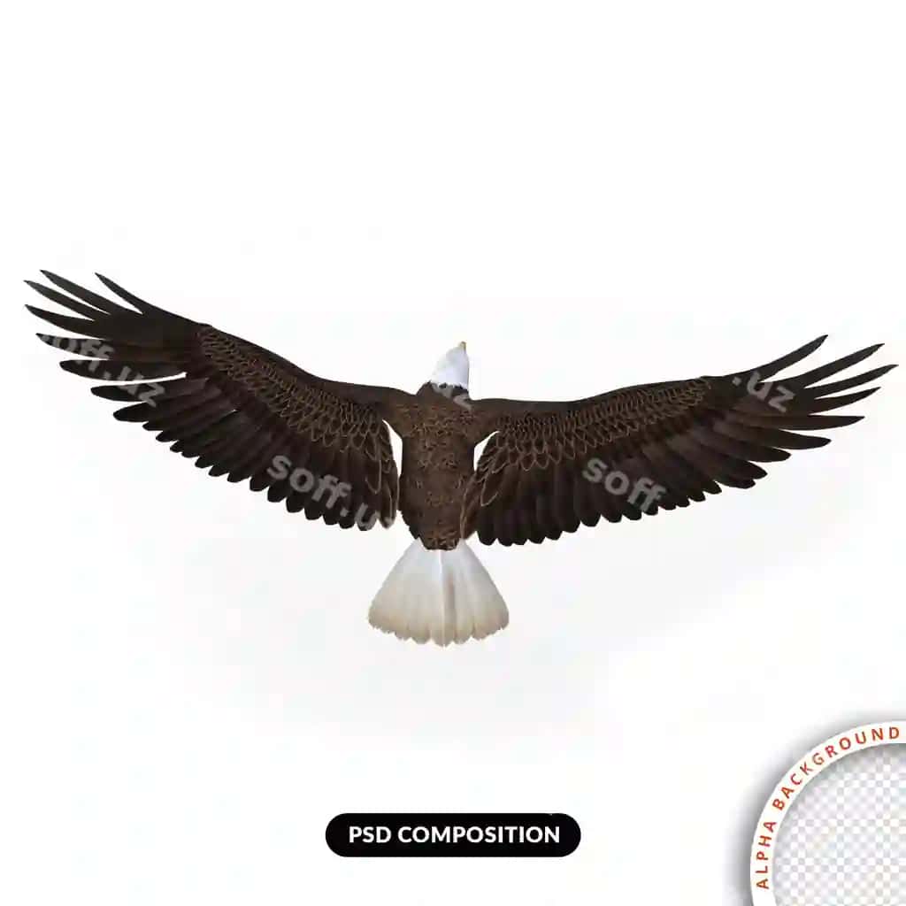 Burgut uchish 3d render | Eagle flying 3d render
