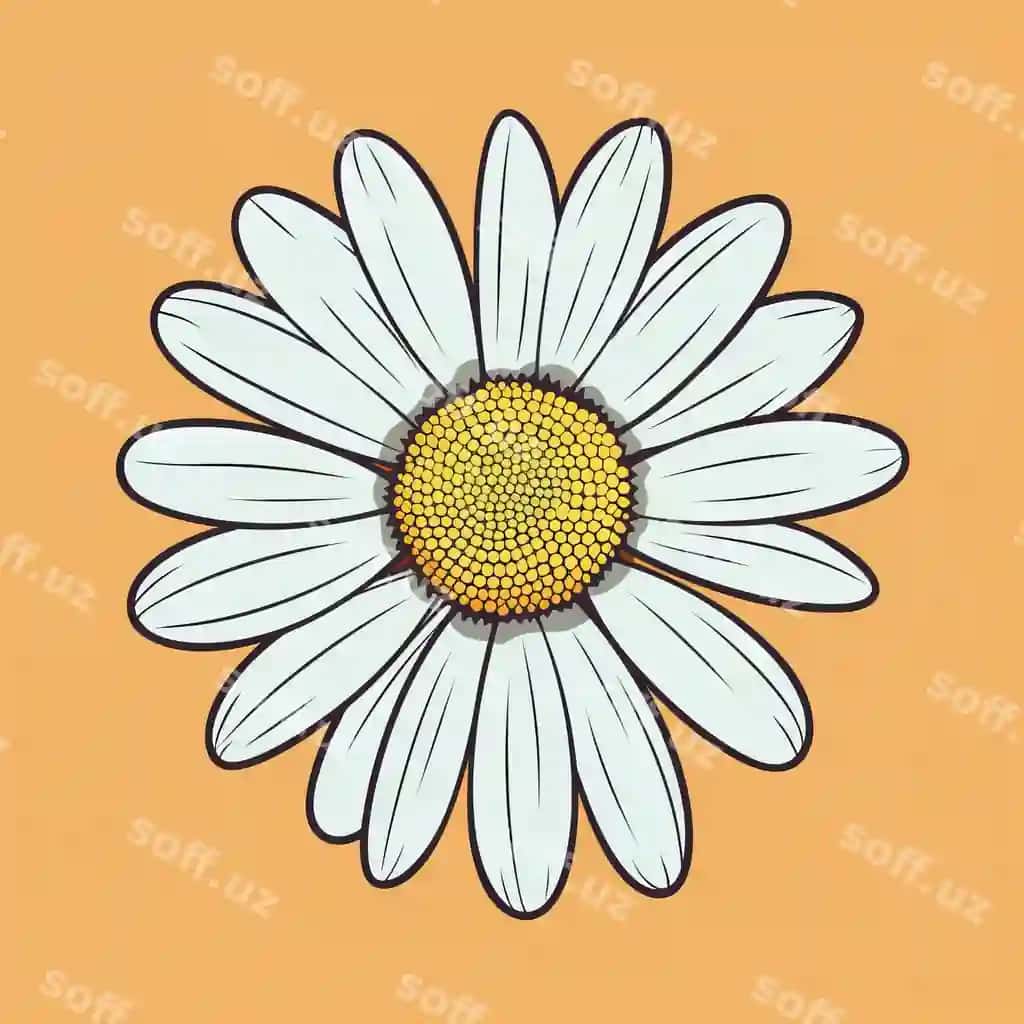 Minimalistik romashka guli tasviri apelsin foni | Minimalistic daisy flower illustration orange background