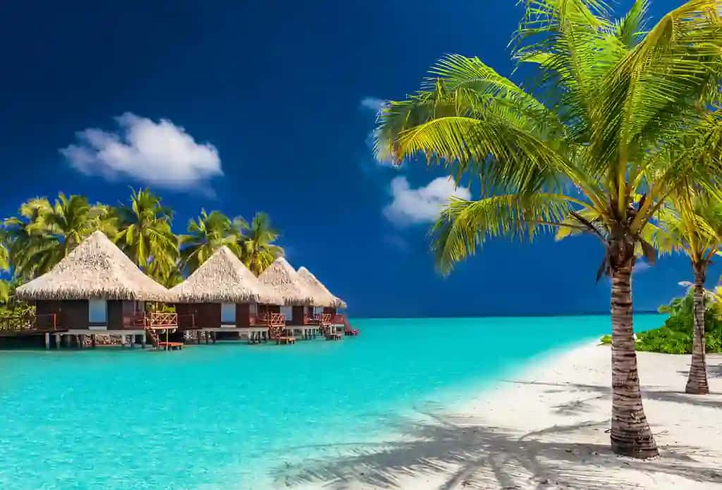 Palma daraxtlari bilan ajoyib plyajli suv bungalovlari tropik orol | Water bungalows tropical island with palm trees amazing beach