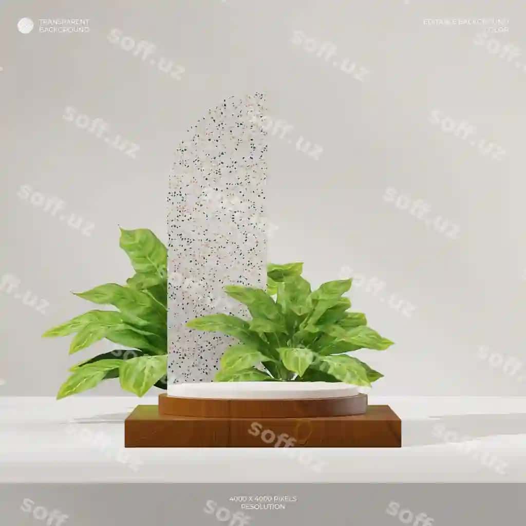 Shaffof orqa fonda yog'och terrazzo podium kvadrat yashil aglaonema | Transparent background wood terrazzo podium square green aglaonema