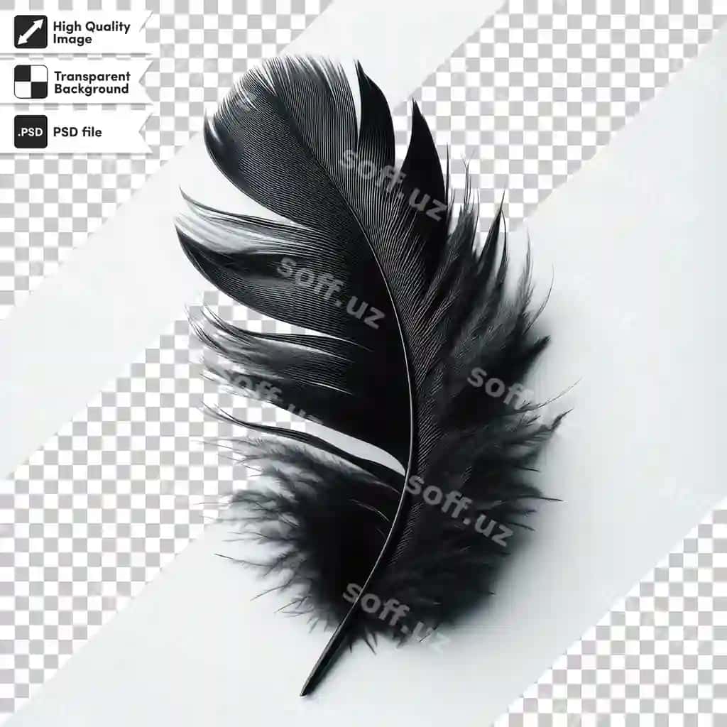 Psd patli shaffof fon | Psd feather transparent background