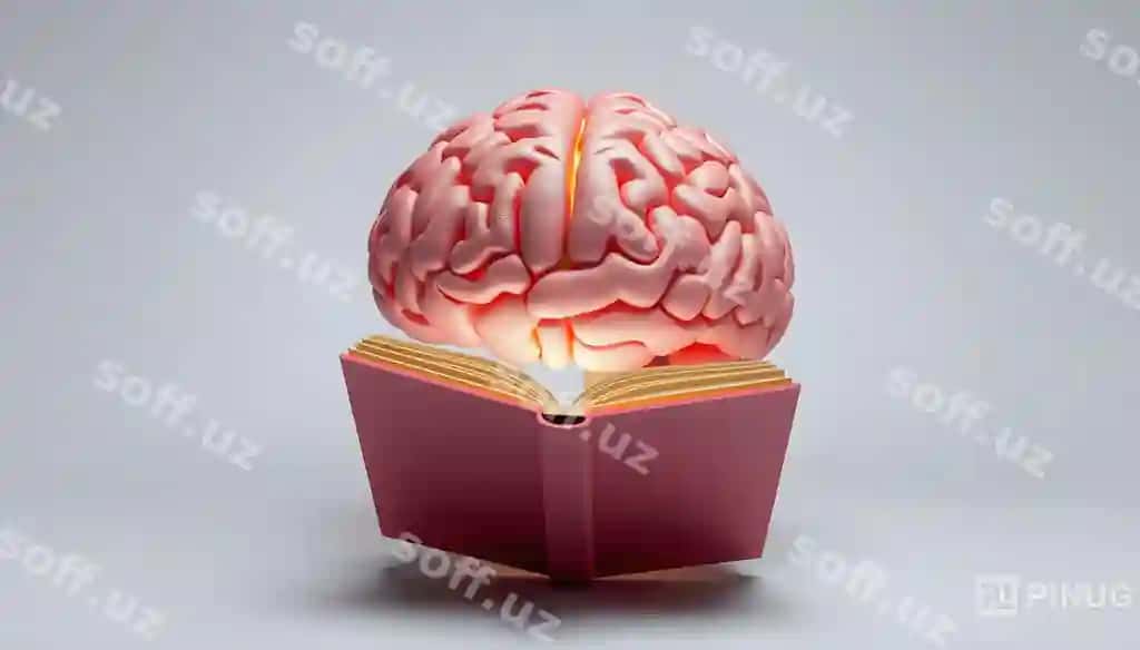 Uch o'lchovli render insonga tegishli bosh miya kitob o'qiyotgan oq akzentlar bilan ajraltirilgan | Three dimensional render human brain reading book isolated with white highlights