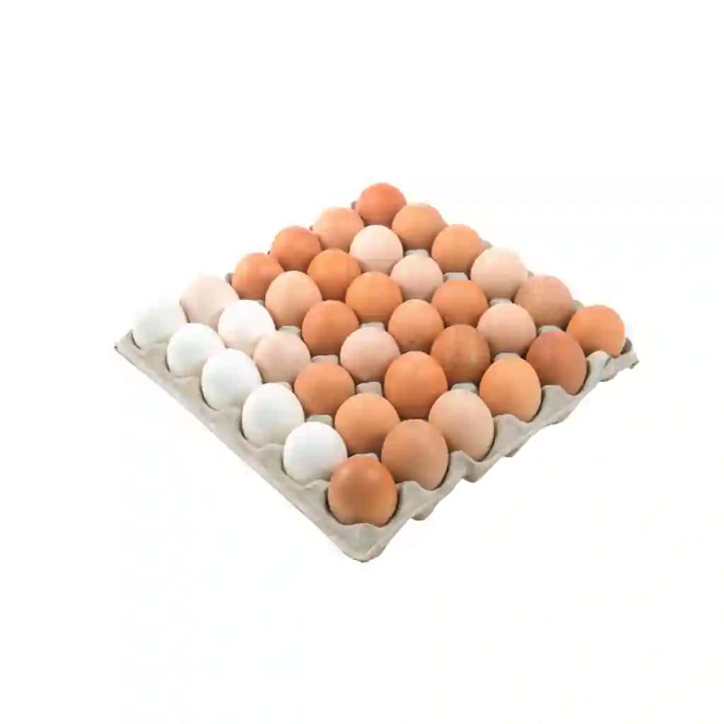 Jigarrang tovuq tuxumlari karton tuxum tepsisi xonalari bilan o'ttiz tuxum izolyatsiya qilingan | Brown chicken eggs cardboard egg tray with rooms thirty eggs isolated