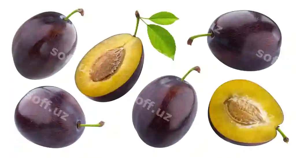 Olchalar ajraltirilgan oq fonda kliplaush yo'li bilan butun va yarımi mevalar barglar to'plami | Plums isolated white background with clipping path whole half fruit with leaves collection