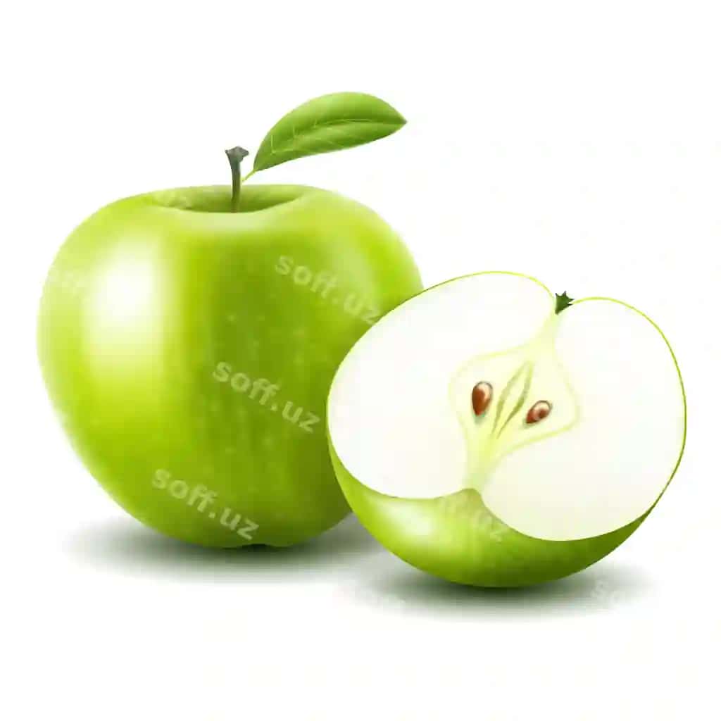 Olmalar vektor butun olma yarı olma ajraltirilgan oq fonda | Apples vector whole apple half apple isolated white background 2