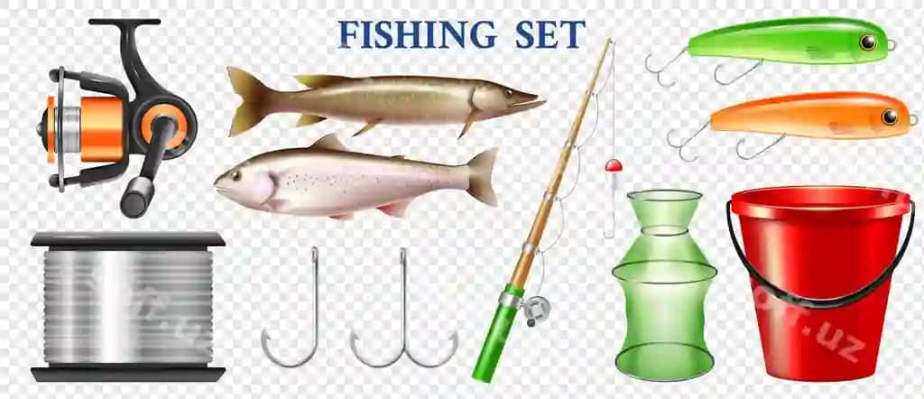 Haqiqiy balıq uyg‘otish elementlarining komplekti asboblar bilan qizilqushli balıq, shir balıq ajraltirilgan | Set realistic fishing elements with tackles rainbow trout pike isolated