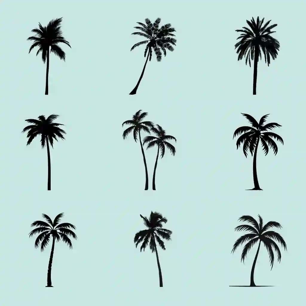 Tropik palma daraxti siluetlari to'plami | Tropical palm tree silhouettes collection