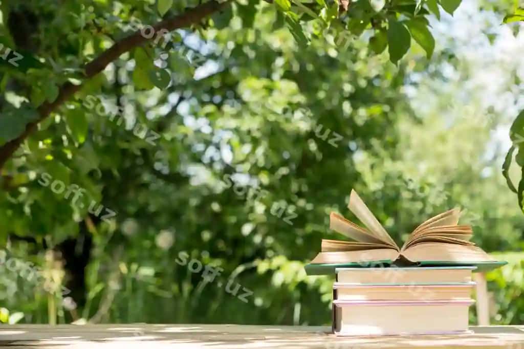 Yozgi konsepsiyani o'rganish ochiq kitob o'qish yog'och stol bog'i quyoshli yoz kuni | Studying summer concept reading open book wooden table garden sunny summer day