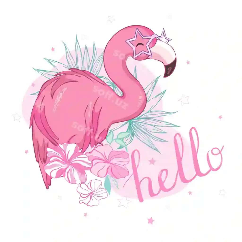 Flamingo qush illustratsiya dizayni | Flamingo bird illustration design
