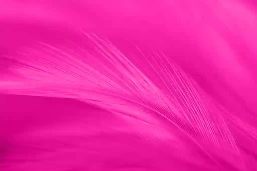 To'liq kadrli pushti patli surat | Full frame shot pink feather