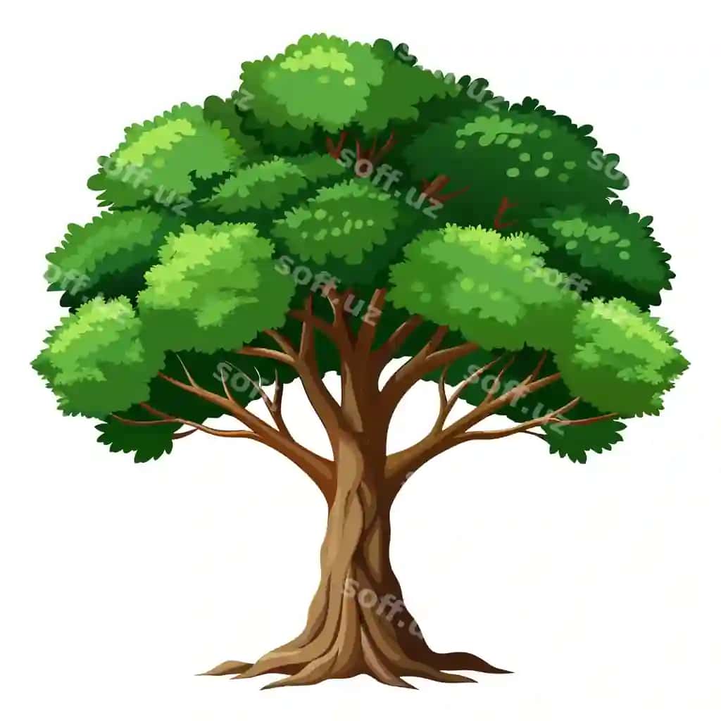 Realistik daraxt vektor illustratsiyasi ajraltirilgan oq ekran | Realistic tree vector illustration isolated white screen