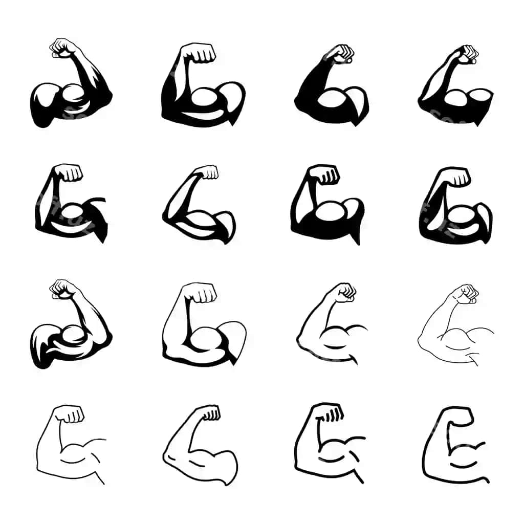 Biceps ikonasi muscle ikonasi siluet chiziqli uslub | Biceps icon muscle icon silhouette linear style