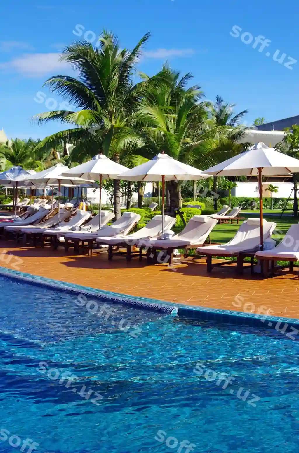 Tropik hovuz | Tropical swimming pool