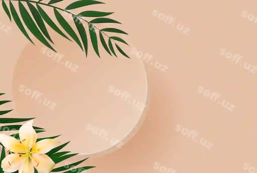 3d realistik podium palm varaqlari | 3d realistic podium palm leaves