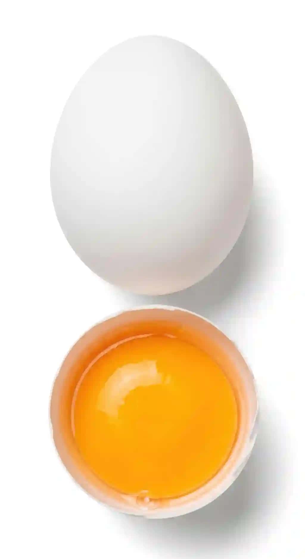 Oq tovuq tuxumi yorqin apelsin sarig'i oq tuxumni yoping | White chicken egg bright orange yolk close up white egg