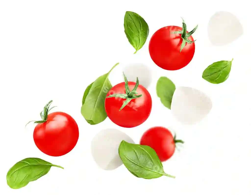 Levitatsiya cherry pomidorlari rayhon barglari mozzarella oq izolyatsiya qilingan fon | Levitation cherry tomatoes basil leaves mozzarella white isolated background