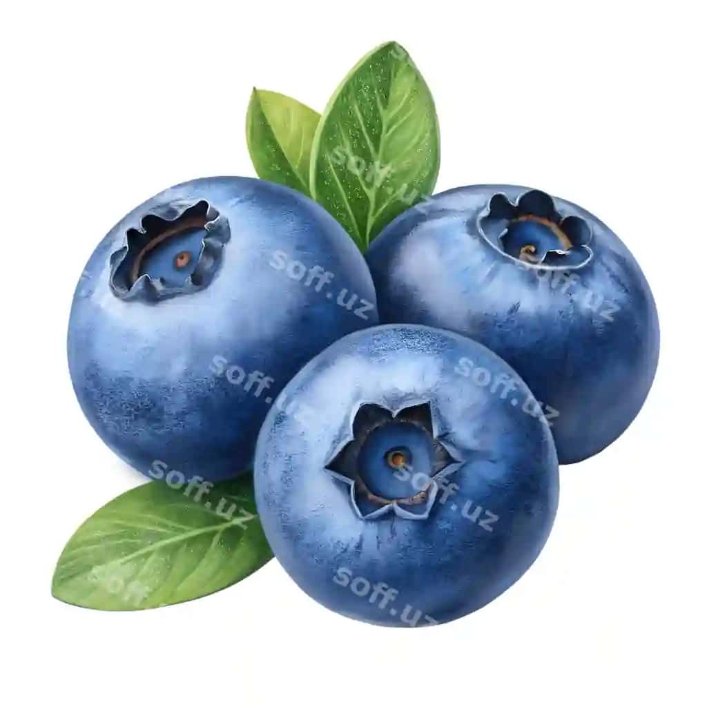 Yashil barglar bilan yangi olg'aolchalari | Fresh ripe blueberries with green leaves 2