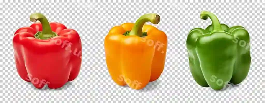 Apelsin shirin qovoq ajraltirilgan shaffof orqa fonda png psd | Orange bell pepper isolated transparent background png psd