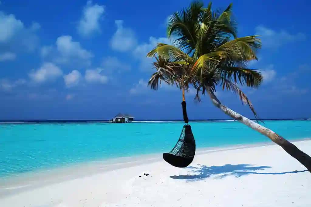 Palma daraxtlari bilan go'zal quyosh botishi plyaj tropik tasvirli vektor | Beautiful sunset beach with palm trees vector illustrationtropical