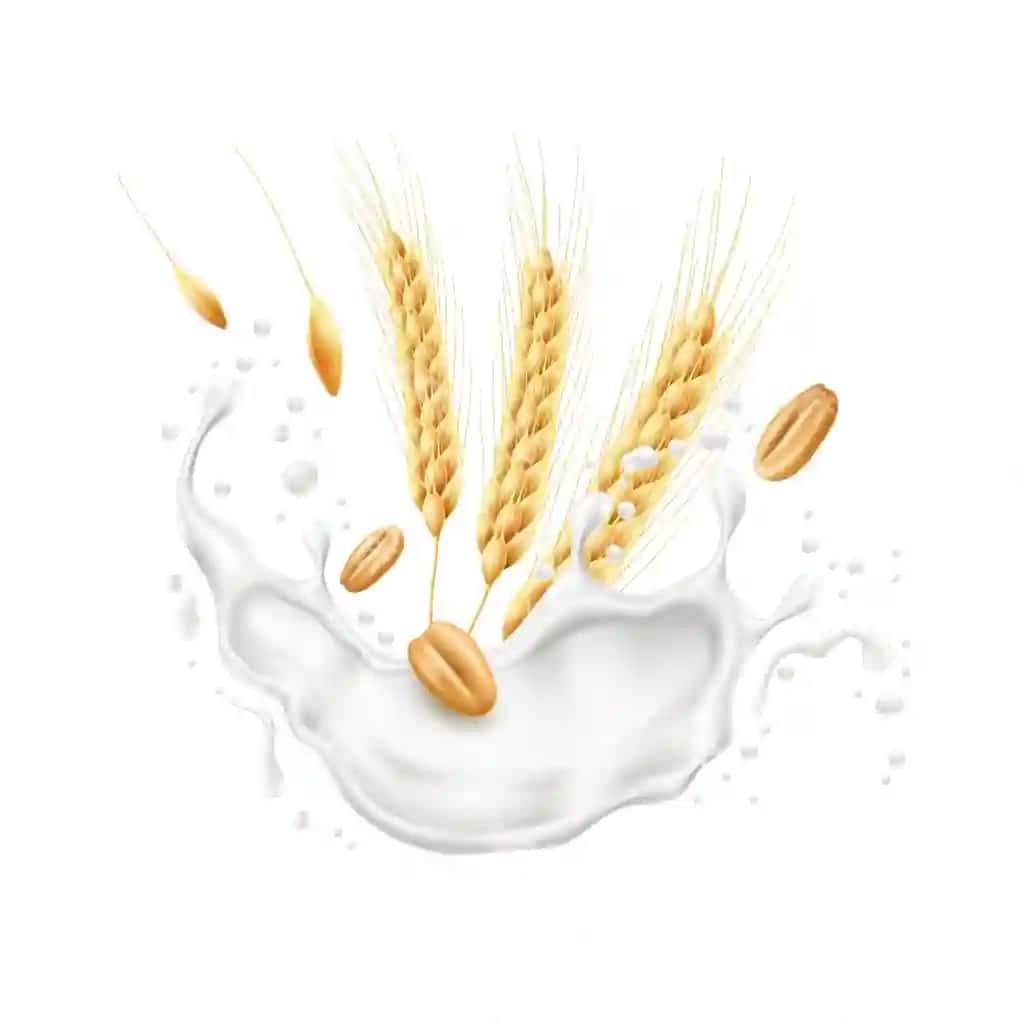 Haqiqiy bug'doy boshoqlari bilan sutli qishloq xo'jaligi madaniyati spikelets | Realistic wheat ears with milk splash agricultural culture spikelets