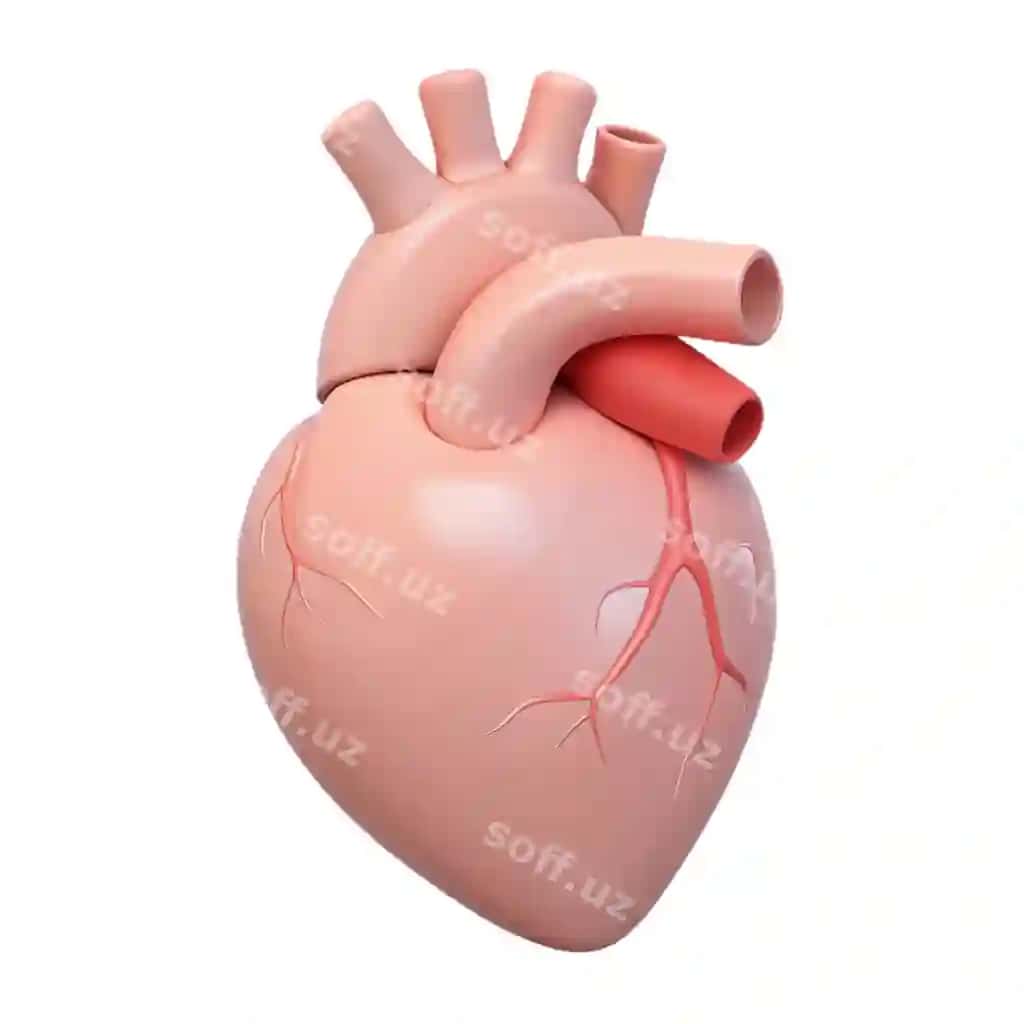Binafsha qalb qizil qalb bilan qizil qalb | Pink heart with red heart red heart 2